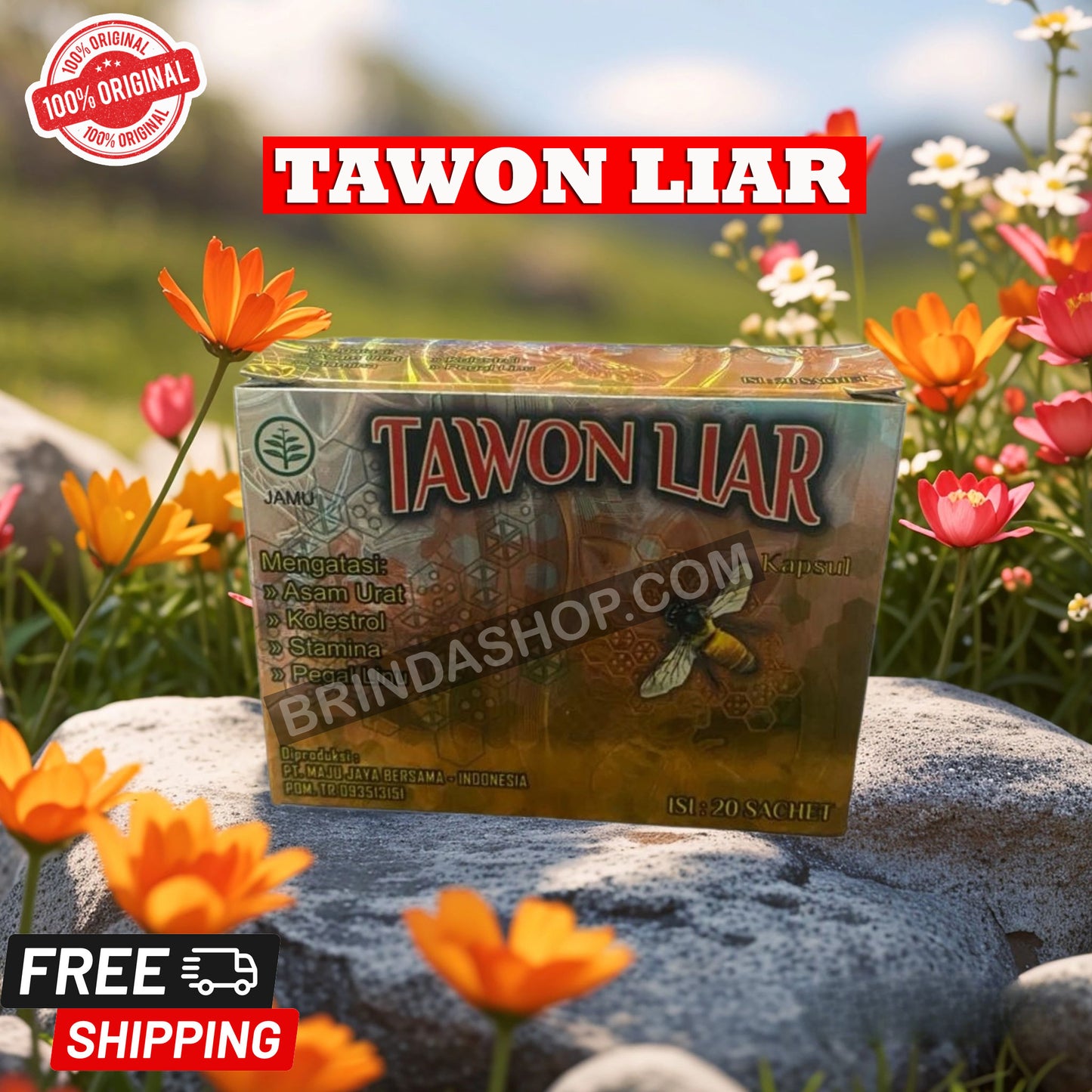 Tawon Liar Herbs For Rheumatism Pain Relief & Gout Original Product ( Wild Wasp )