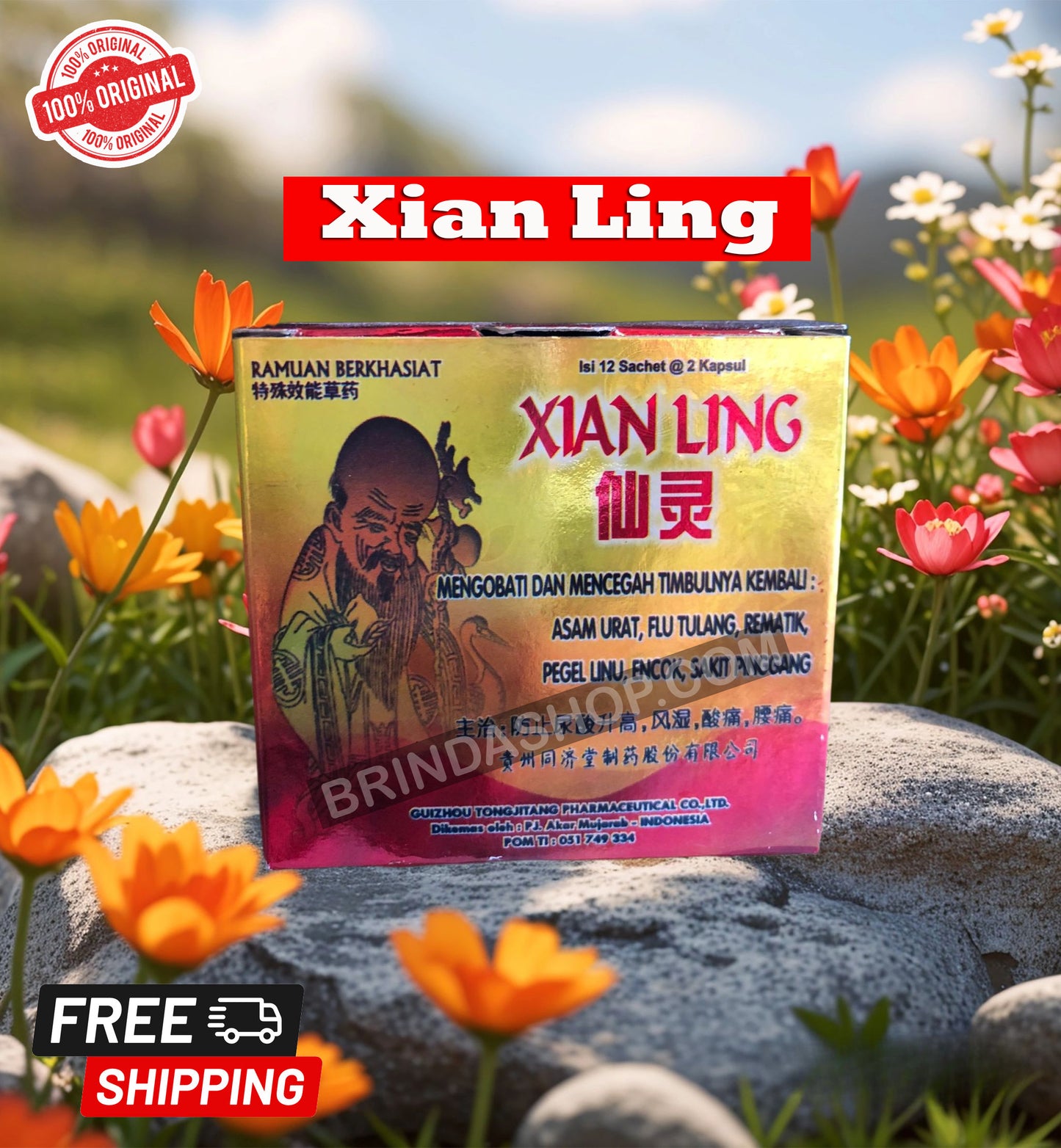 Xian Ling CAPSULES Herb for Arthritis Gout Rheumatism Back Pain Bone Joint Health